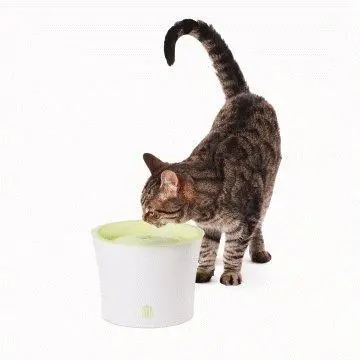 Catit Design drikkefontæne 3 liter hvid/lime